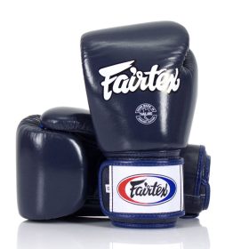 Fairtex BGV1 Boxing Gloves Blue