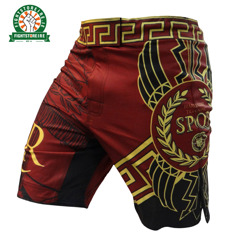 Breathable and Lightweight Training Pants for Men Compression Shorts SMMASH Wotore Professional Vale Tudo Shorts Men Perfect for BJJ Martial Arts Shorts Muay Thai Krav Maga MMA 